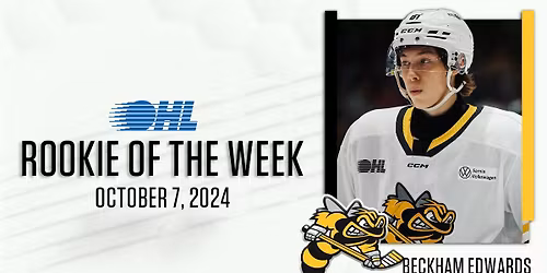 Sarnia Sting vs. Sault Ste. Marie Greyhounds