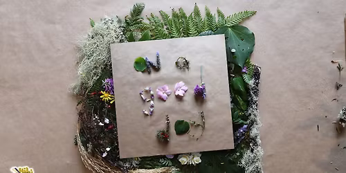 Hihi + Wellington Bluegrass Society