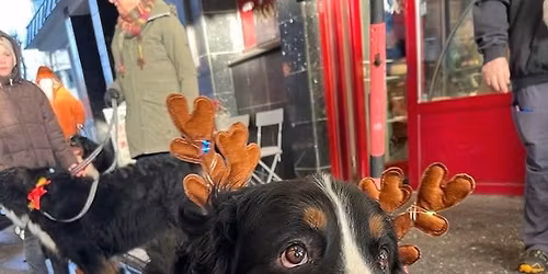 Byvandring i Stavanger sentrum