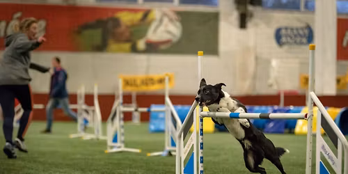 Treningi z Ol\u0105 Gronek 3-4.01.2026