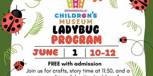 Ladybug Program \ud83d\udc1e