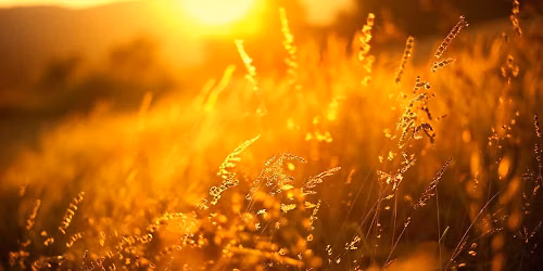 Golden Hour (Hot Yoga & Jewelry)