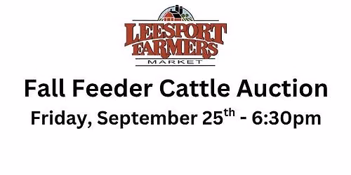 Fall Feeder Cattle Auction