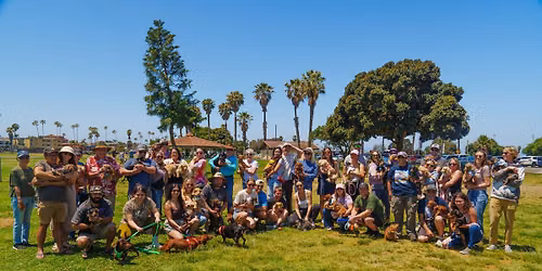 Ocean Beach Dachshund Meet-Up 