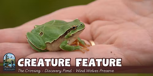 Creature Feature at Wind Wolves Preserve - Aquatic Life!