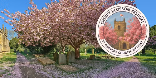 Cherry Blossom Festival - day 2