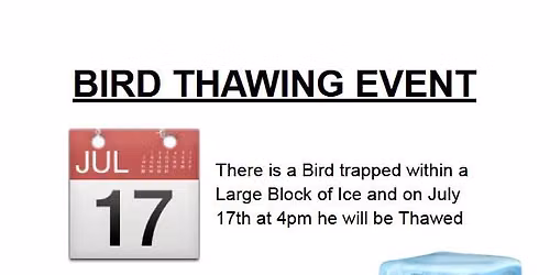 Bird Thawing Event