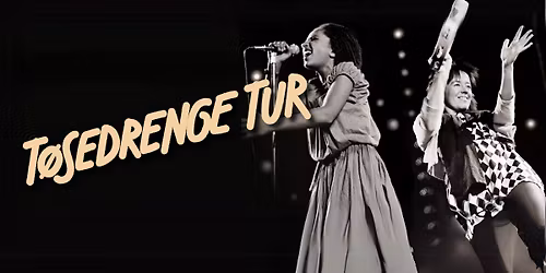 DINNERKONCERT MED MICHELSEN & BRAMSEN - T\u00d8SEDRENGETUR