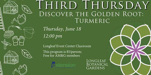 Third Thursday - Discover the Golden Root: Turmeric