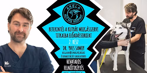 DR. YVES SAMOY BELGA EBVS\u00ae REHABILIT\u00c1CI\u00d3S \u00c1LLATORVOS - BETEKINT\u00c9S A KUTY\u00c1K MOZG\u00c1SSZERVI TITKAIBA 2.