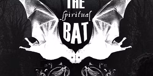 The Spiritual Bat no Porto