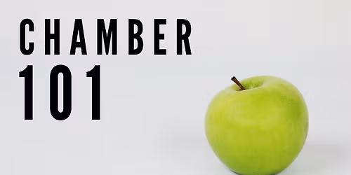 Chamber 101