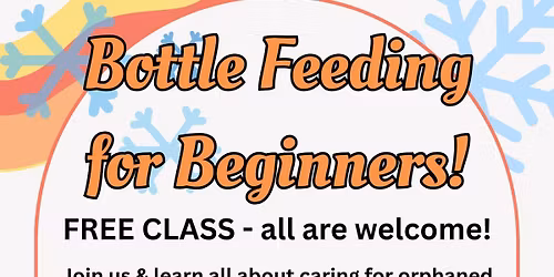 Free Bottle Feeding for Beginners Class