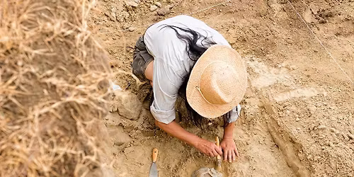 HOMESCHOOL: SOIL LAYER RECONSTRUCTION
