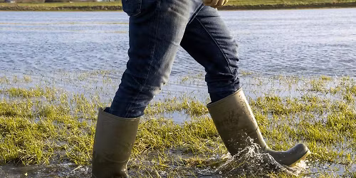 Off the Boardwalk Tours (FREE)