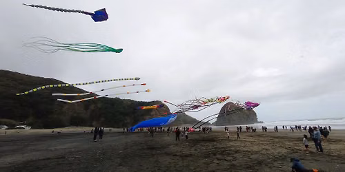 Big Kites at the Beach