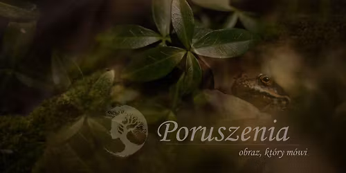 Poruszenia - spotkanie ze sob\u0105 poprzez rozmow\u0119 o fotografiach