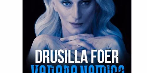 DRUSILLA FOER "Venere nemica"