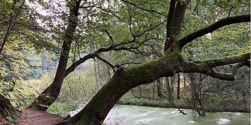 Herfstsafari langs de Regge - paddenstoelen spotten en meer....