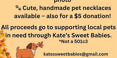 Fall Leaves and Flannel Pet Photo Booth