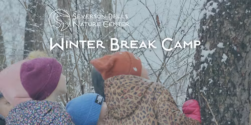Winter Break Camp