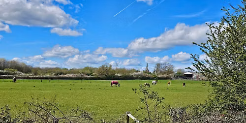 Northolt Walking, Talking and Exploring - West End