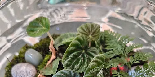Terrarium Workshop - $90