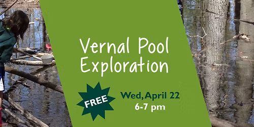 Vernal Pool Exploration