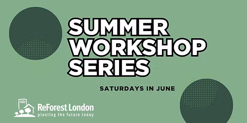 Summer Workshop Series