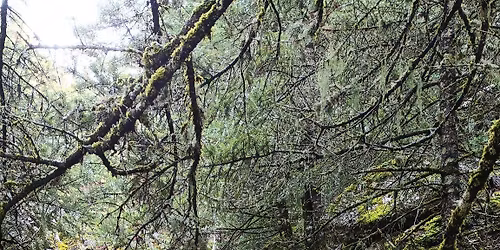 \ud83d\udca2 XELMOS Trekking \ud83e\udd7e \u039c\u03bf\u03bd\u03ae \u039c\u03ad\u03b3\u03b1 \u03a3\u03c0\u03ae\u03bb\u03b1\u03b9\u03bf\u03c5 - \u03a7\u039a.\u039a\u03b1\u03bb\u03b1\u03b2\u03c1\u03c5\u03c4\u03c9\u03bd \ud83c\uddec\ud83c\uddf7