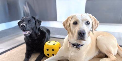 PAWS FOR A CAUSE - CANINE PARTNERS FUNDRAISER 
