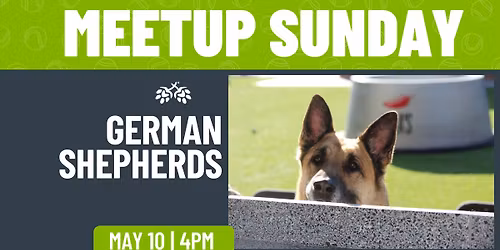German Shepherd Meetup