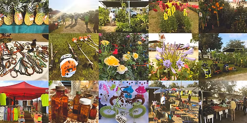 Orlando Outdoor Market