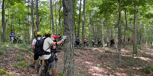 Spring Dig Days - 2026 - Meet at Pool 10am