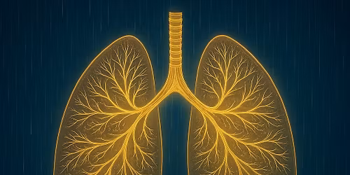 Breathwork @The Hidden Temple