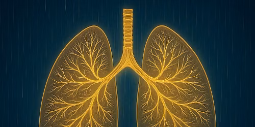 Breathwork @The Hidden Temple
