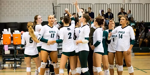 Oakland Community College Volleyball Camp