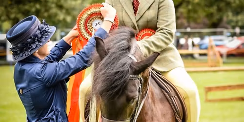 SHOWING CLINIC with TSR Talent Spotting \ud83e\udd29