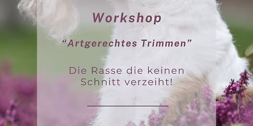 TRIMM workshop