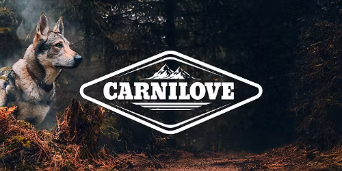 Dogrun Lys\u00e1 nad Labem - CC, SC1, BKJ