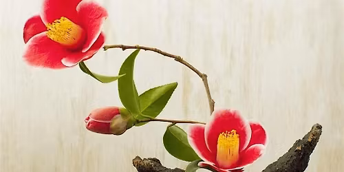 Ikebana: A basic introduction to the art of Japanese floral arranging