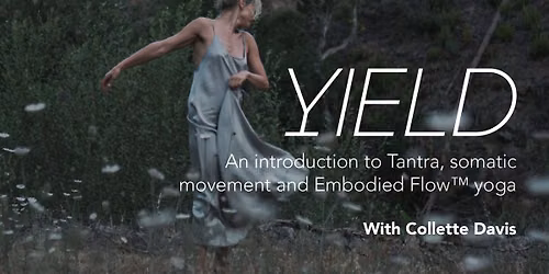 Collette Davis - YIELD. An Introduction To Tantra, Somatic Movement & Embodied Flow\u2122 Yoga
