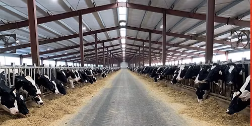 46th Annual Green County Breakfast on the Farm
