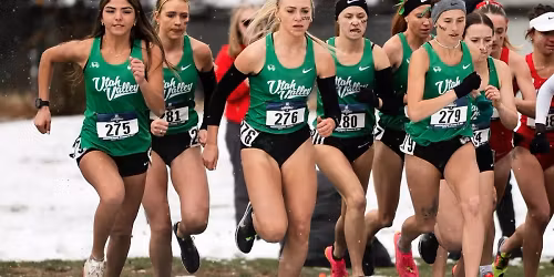 Parking Weber State Wildcats at Utah Valley Wolverines Mens Basketball