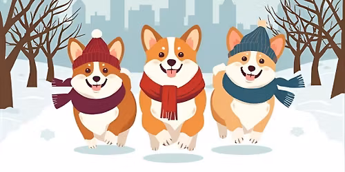 December Park Meetup at Orianna Hill Park