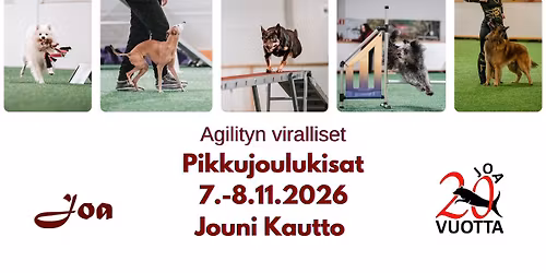 Agilityn Pikkujoulukisat