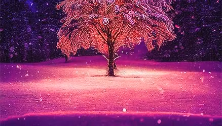 Christmas Carols F\u00e6llessang