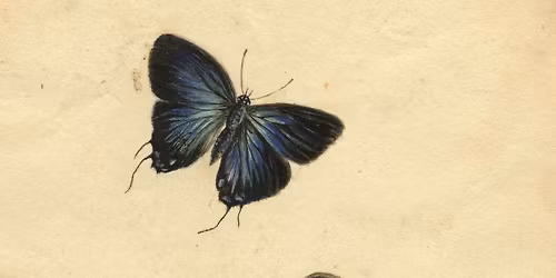 Lessons in Watercolor Painting from Charleston\u2019s Historic Women Artists