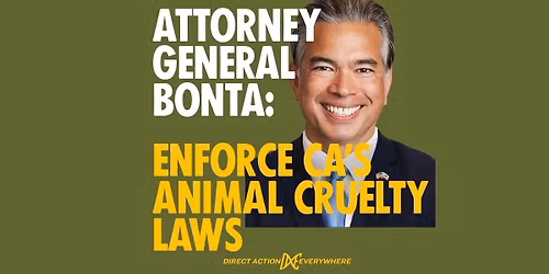 Attorney General Bonta: Enforce CA's Animal Cruelty Laws