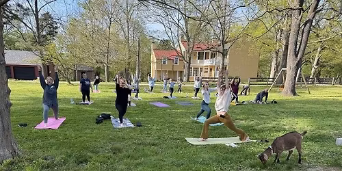 Earth Day Goat Yoga